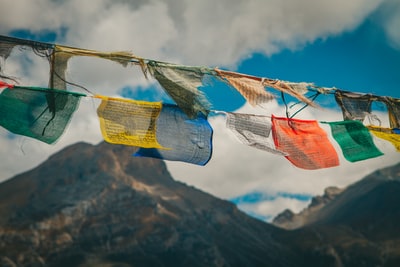 图聚科技